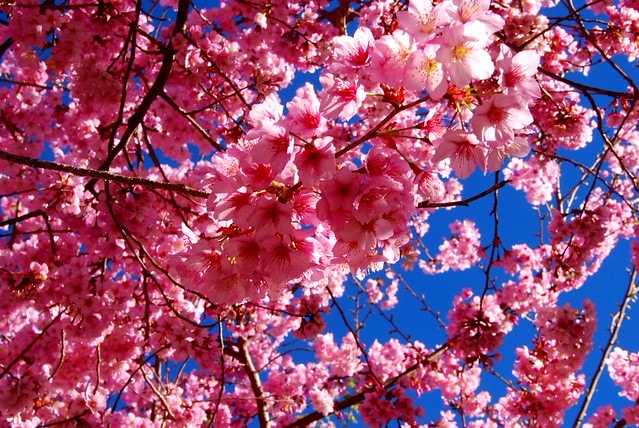 20251103-pu2fc 20251103-pu2fc