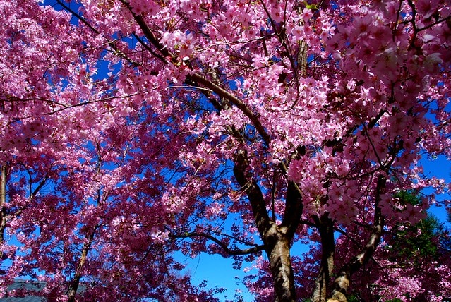 20251103-qctg5 20251103-qctg5