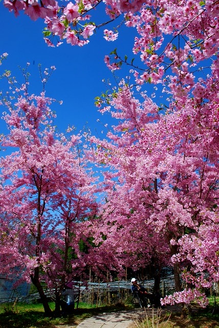 20251103-r4036 20251103-r4036