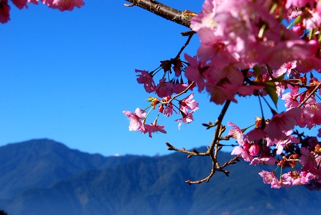 20251103-r746f 20251103-r746f