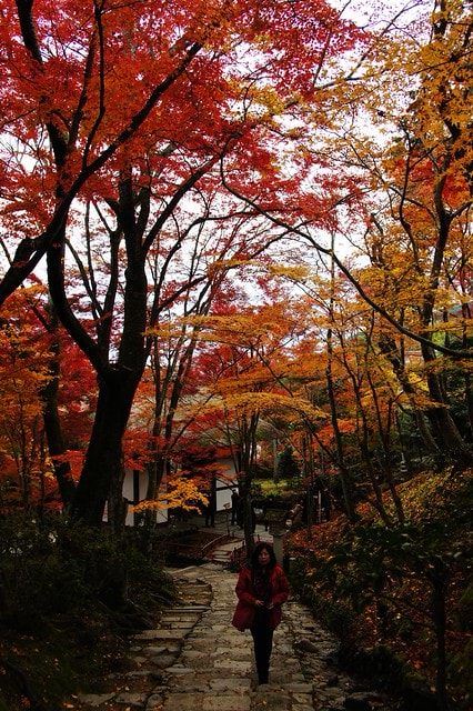 20251103-revh9 20251103-revh9