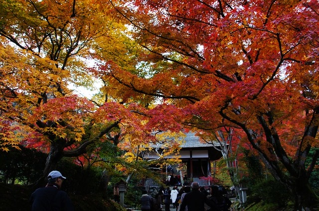 20251103-ruvj5 20251103-ruvj5