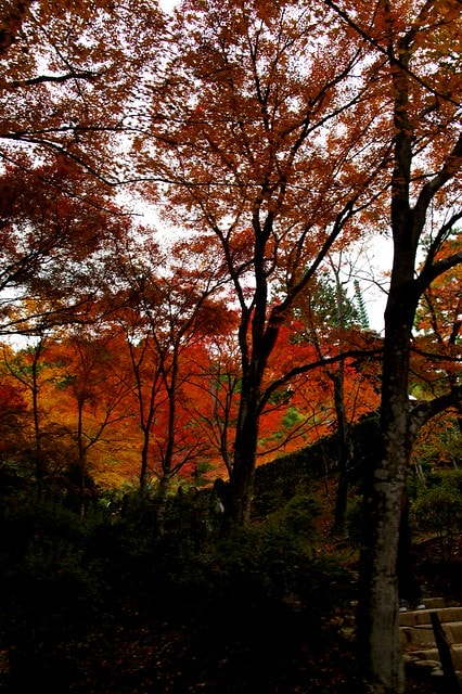 20251103-rwer5 20251103-rwer5