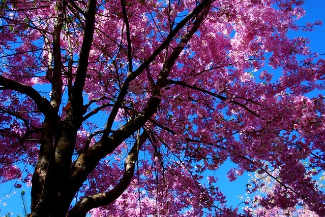 20251103-rzwnu 20251103-rzwnu