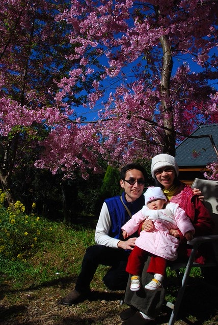 20251103-thc3h 20251103-thc3h