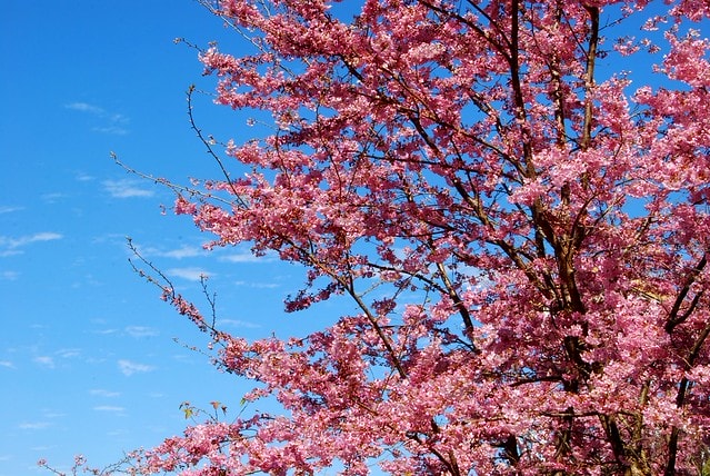 20251103-tkgkh 20251103-tkgkh