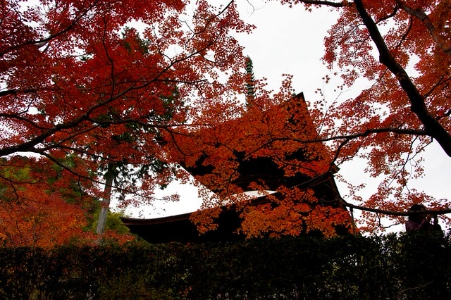 20251103-tnp38 20251103-tnp38