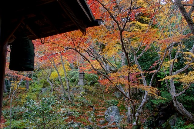 20251103-u6x6k 20251103-u6x6k