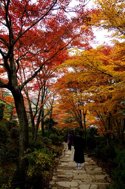 20251103-v8c6f 20251103-v8c6f