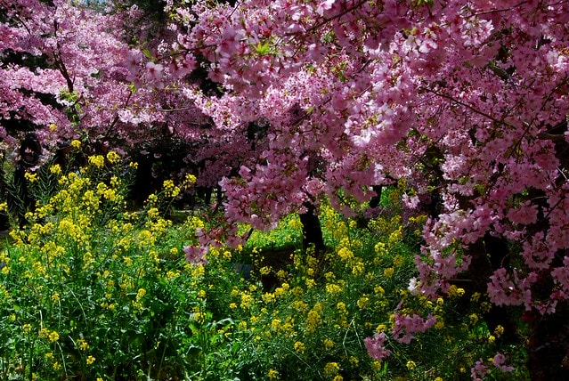 20251103-w4jb8 20251103-w4jb8