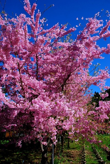 20251103-wirtt 20251103-wirtt