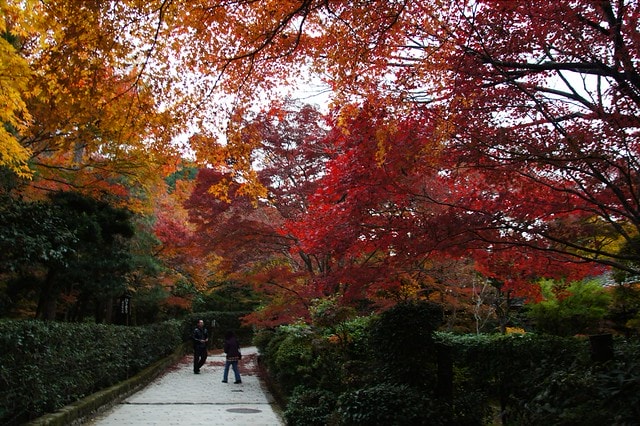 20251103-wv0b2 20251103-wv0b2