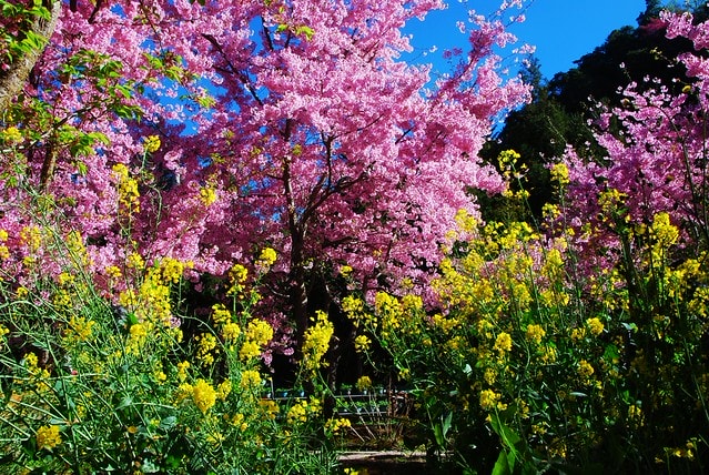 20251103-x796u 20251103-x796u