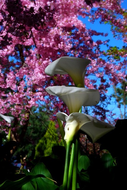 20251103-xpkm1 20251103-xpkm1