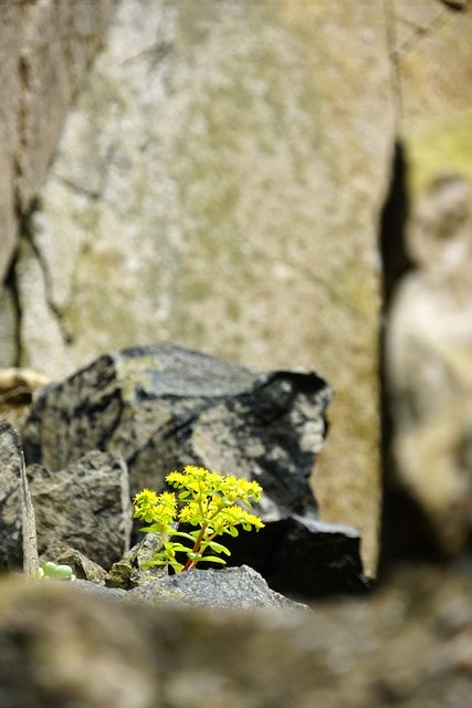 20251103-513uc 20251103-513uc