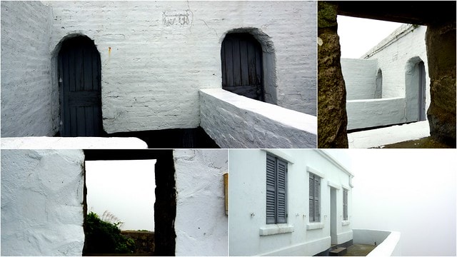 20251103-686ew 20251103-686ew