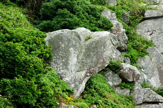 20251103-d26uj 20251103-d26uj