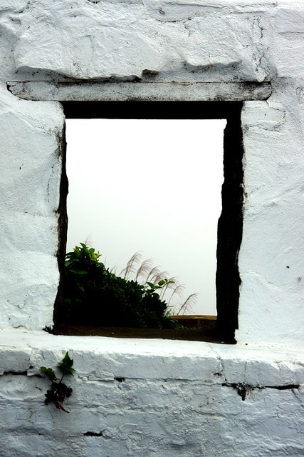 20251103-dphl6 20251103-dphl6