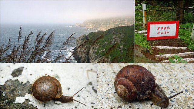 20251103-e9syh 20251103-e9syh