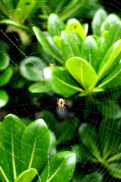 20251103-jlw75 20251103-jlw75