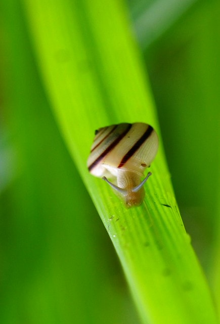 20251103-jrbbx 20251103-jrbbx