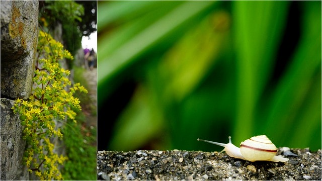 20251103-mrlfq 20251103-mrlfq