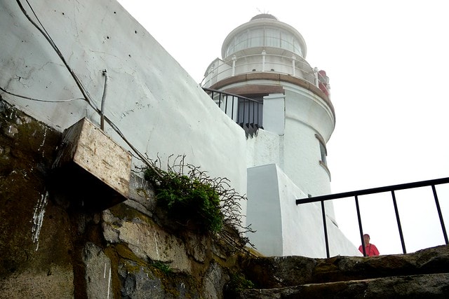 20251103-snl96 20251103-snl96