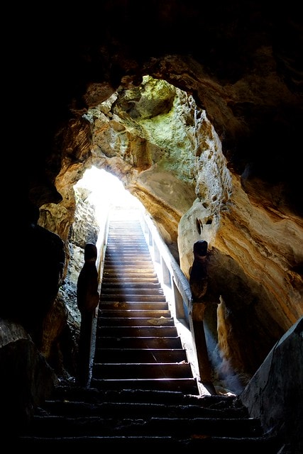 20251103-07270 20251103-07270