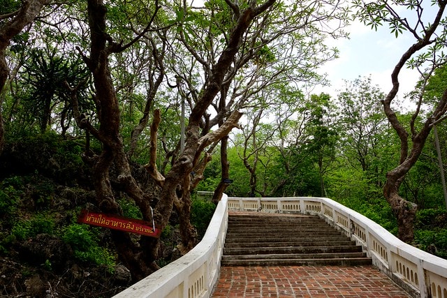 20251103-cxc7n 20251103-cxc7n