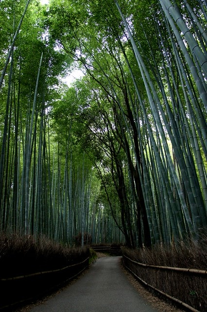 20251103-d7e28 20251103-d7e28