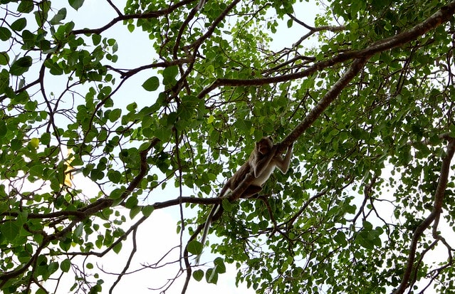 20251103-efoyk 20251103-efoyk