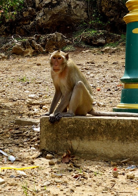 20251103-h5kqu 20251103-h5kqu