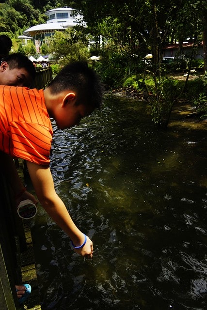 20251103-ssywe 20251103-ssywe