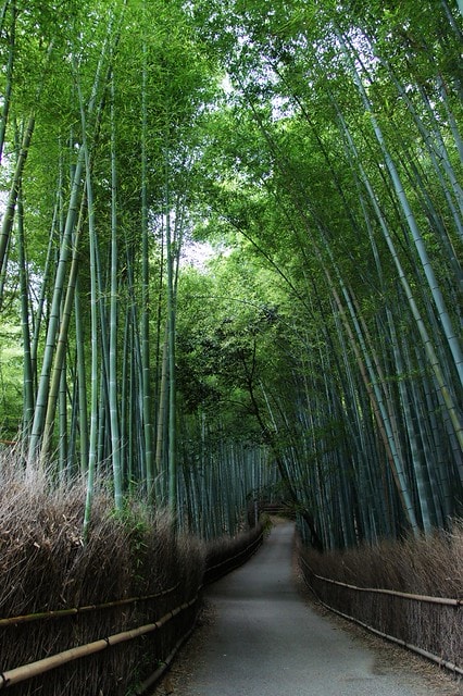 20251103-xe52k 20251103-xe52k