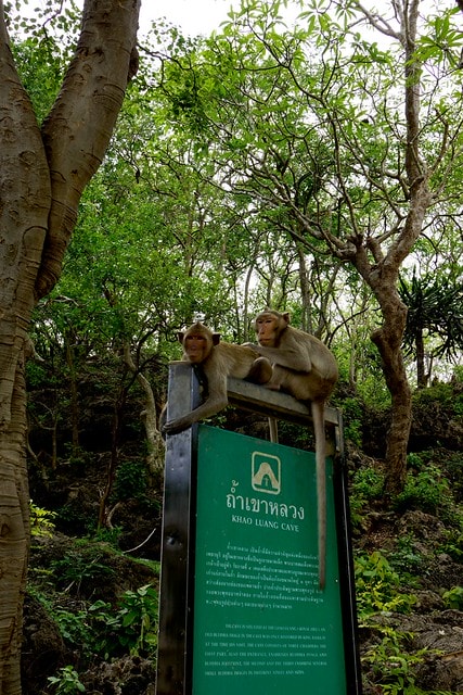 20251103-znona 20251103-znona