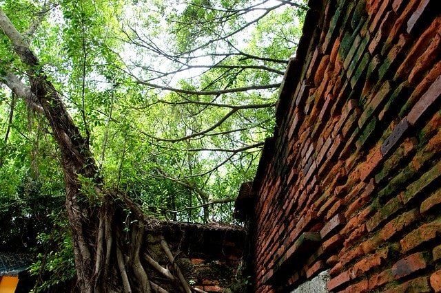 20251103-7wpyq 20251103-7wpyq