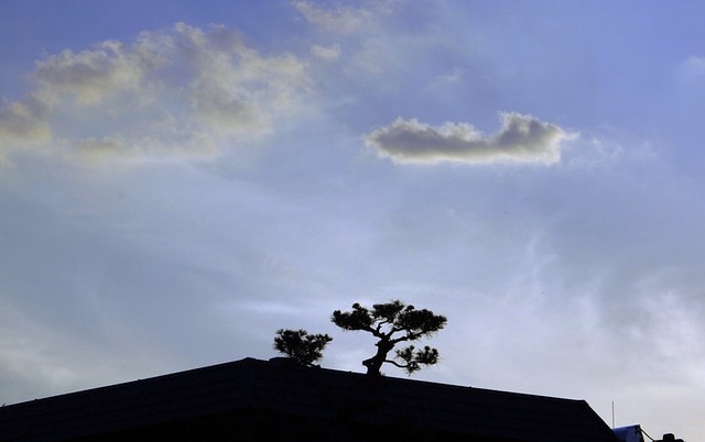 20251103-mfxo8 20251103-mfxo8