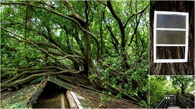 20251103-mhhba 20251103-mhhba