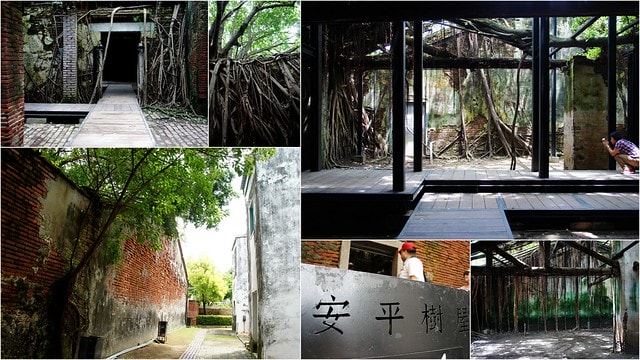 20251103-skegg 20251103-skegg