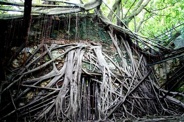 20251103-sxdxu 20251103-sxdxu