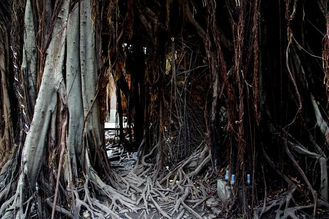 20251103-vrlo9 20251103-vrlo9