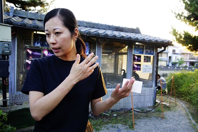 20251103-wc6cg 20251103-wc6cg