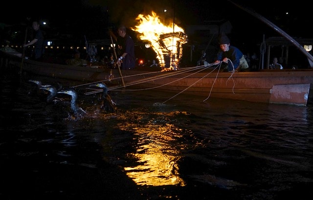 20251103-0cx2q 20251103-0cx2q