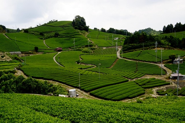 20251103-46il1 20251103-46il1