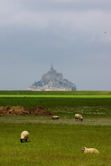 20251103-4yccc 20251103-4yccc