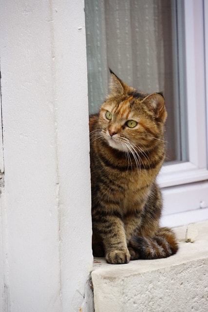 20251103-6thlu 20251103-6thlu