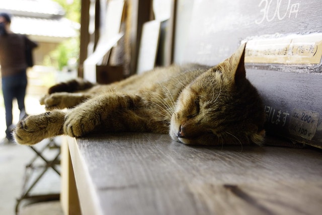 20251103-me5qq 20251103-me5qq