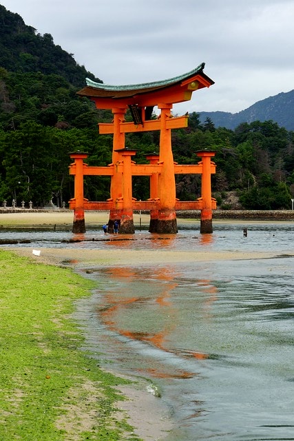 20251103-pplrl 20251103-pplrl