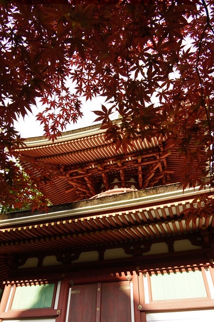 20251103-s12ca 20251103-s12ca