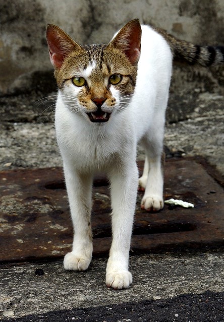 20251102-113mg 20251102-113mg